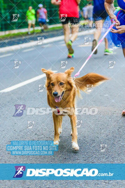 Parque do Ingá - Terça de Carnaval