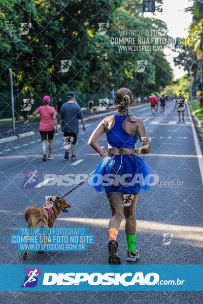 Parque do Ingá - Terça de Carnaval