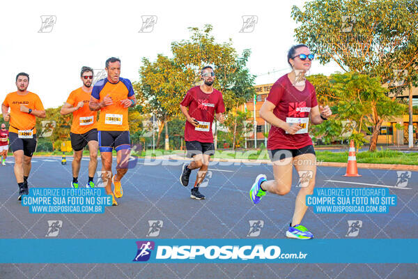 MEIA MARATONA Boulevard