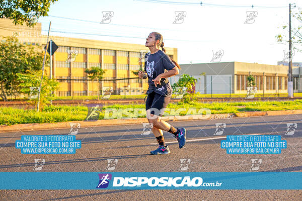 MEIA MARATONA Boulevard