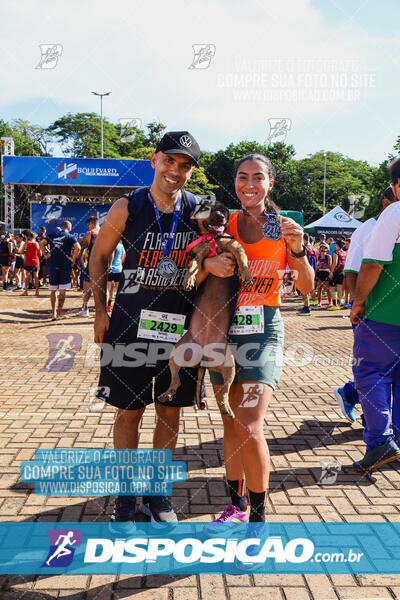 MEIA MARATONA Boulevard