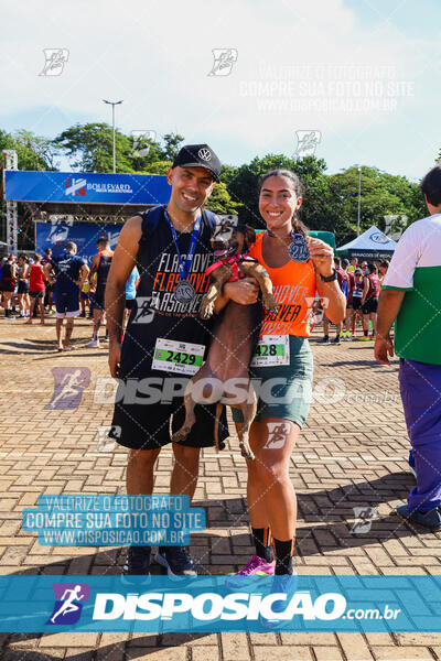 MEIA MARATONA Boulevard