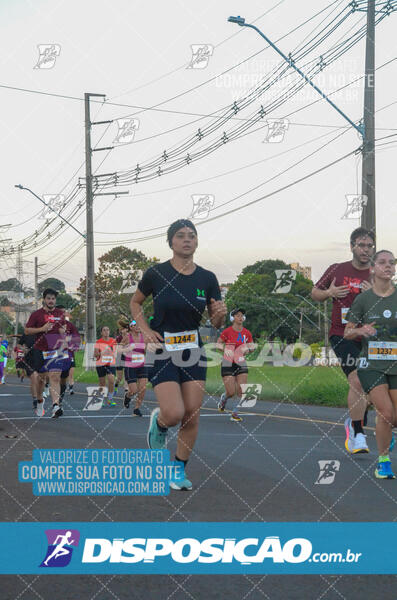 MEIA MARATONA Boulevard