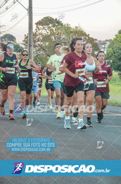 MEIA MARATONA Boulevard