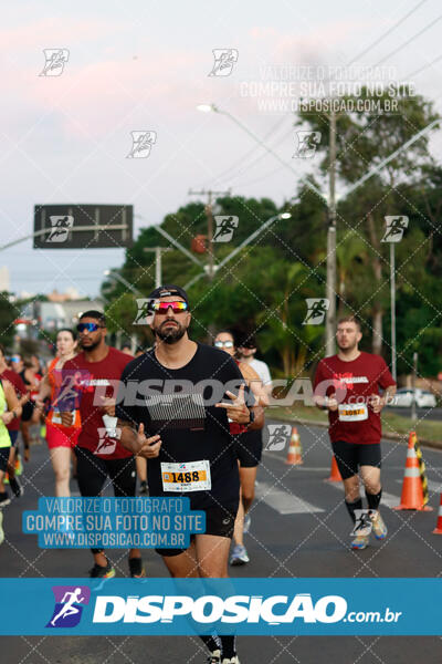 MEIA MARATONA Boulevard