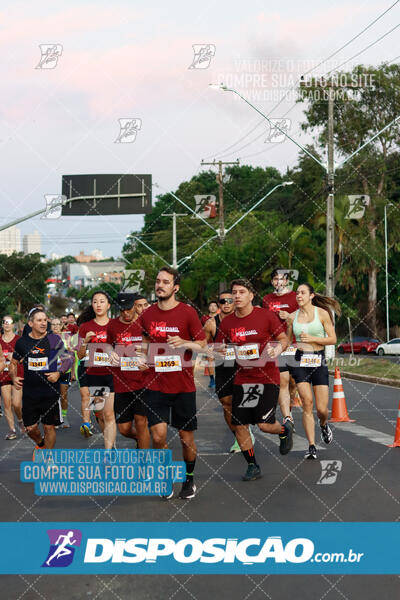 MEIA MARATONA Boulevard