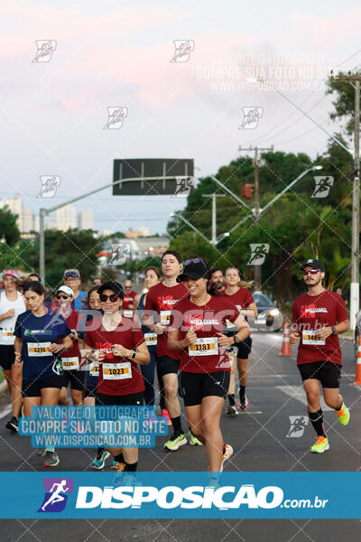 MEIA MARATONA Boulevard