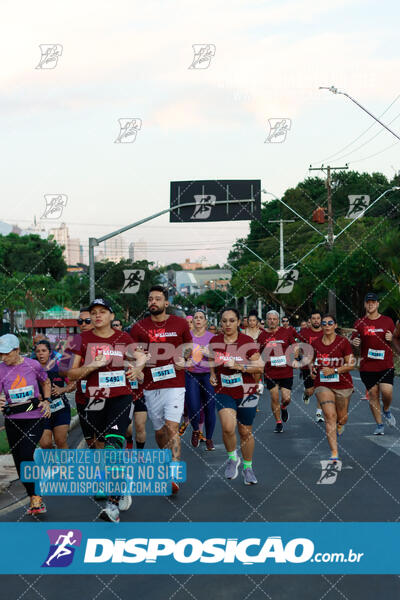 MEIA MARATONA Boulevard