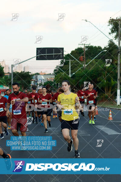 MEIA MARATONA Boulevard