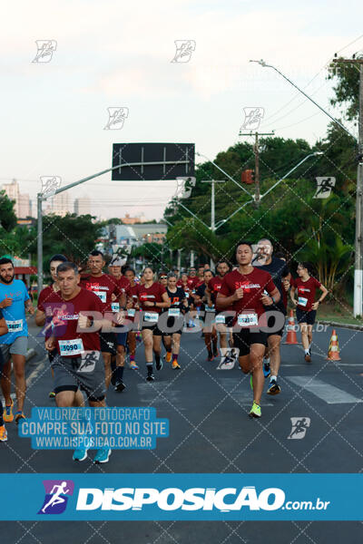 MEIA MARATONA Boulevard