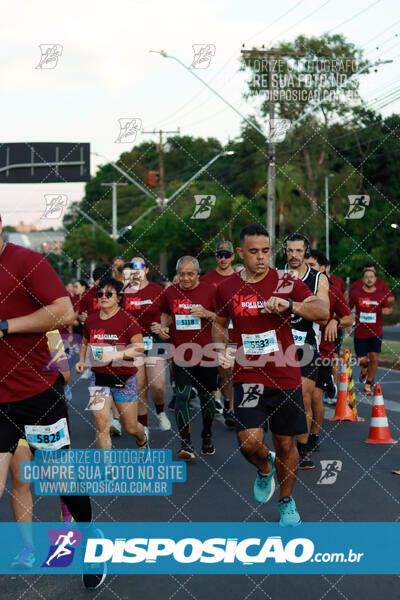 MEIA MARATONA Boulevard