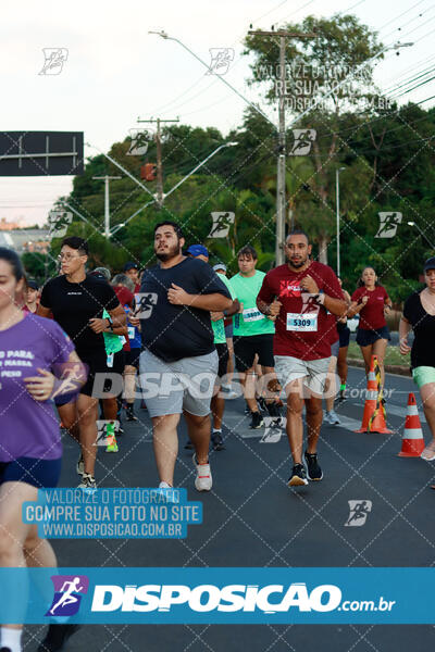 MEIA MARATONA Boulevard