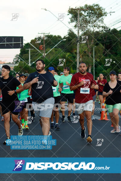 MEIA MARATONA Boulevard