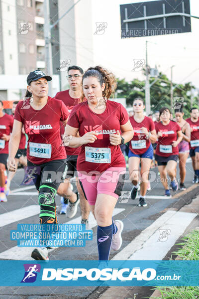 MEIA MARATONA Boulevard