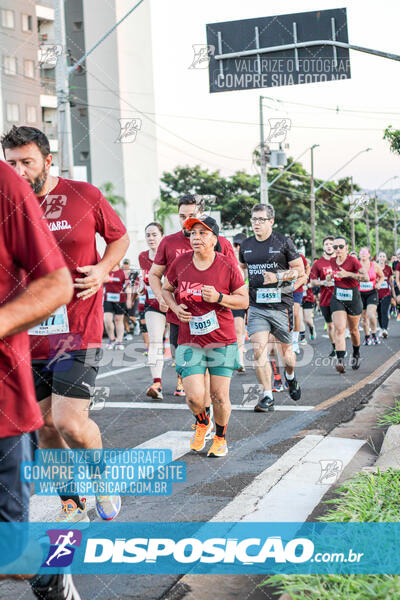 MEIA MARATONA Boulevard