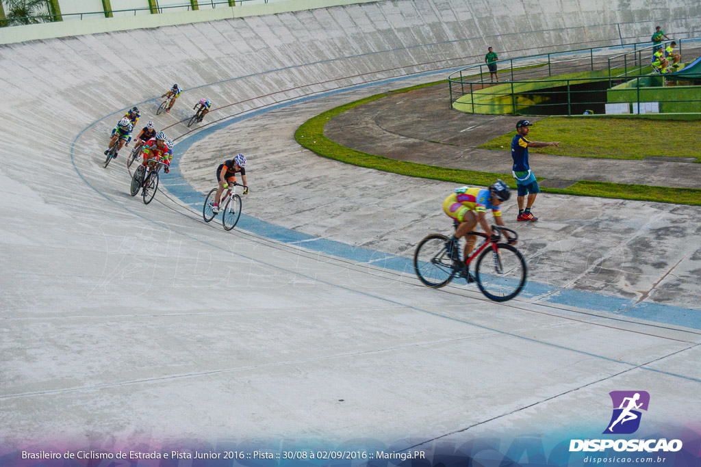 Pista :: Brasileiro de Ciclismo de Estrada e Pista 2016