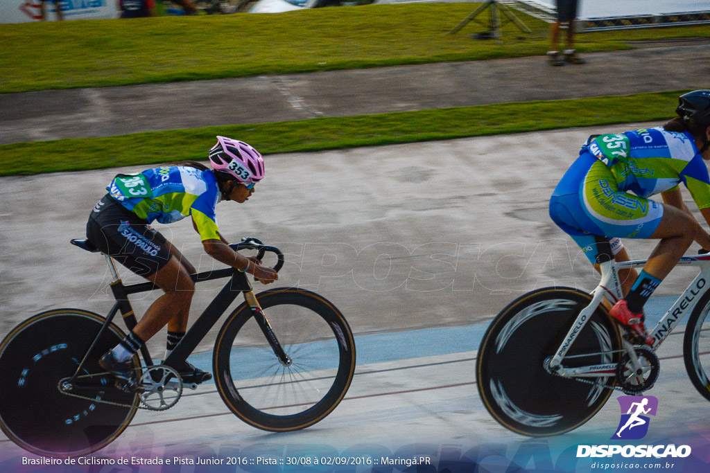 Pista :: Brasileiro de Ciclismo de Estrada e Pista 2016