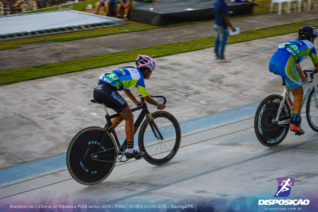 Pista :: Brasileiro de Ciclismo de Estrada e Pista 2016