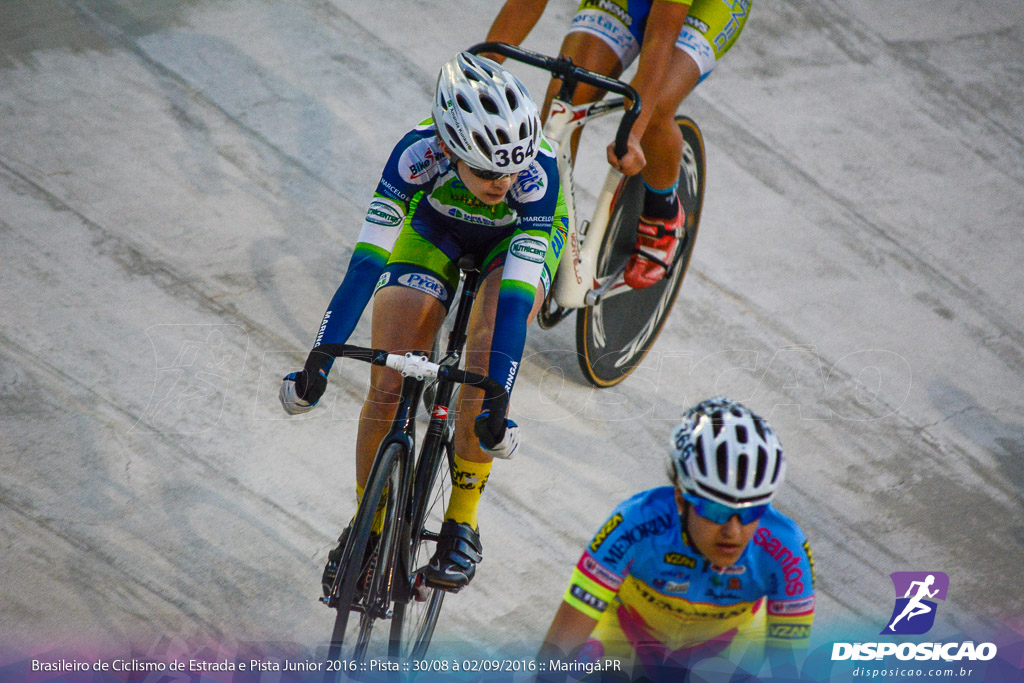 Pista :: Brasileiro de Ciclismo de Estrada e Pista 2016