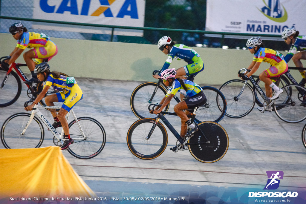 Pista :: Brasileiro de Ciclismo de Estrada e Pista 2016