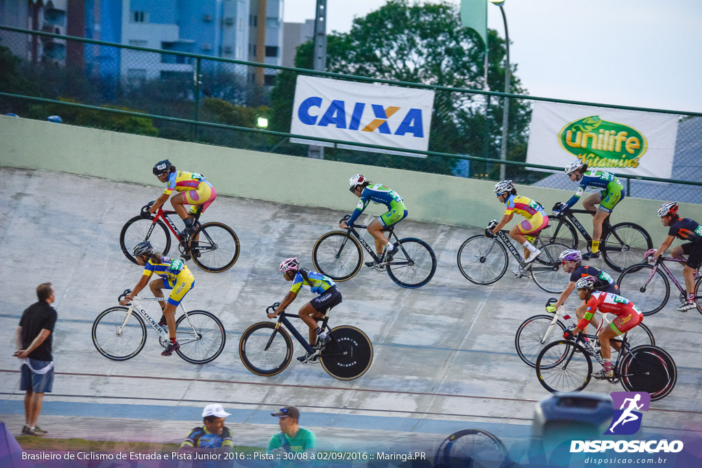 Pista :: Brasileiro de Ciclismo de Estrada e Pista 2016