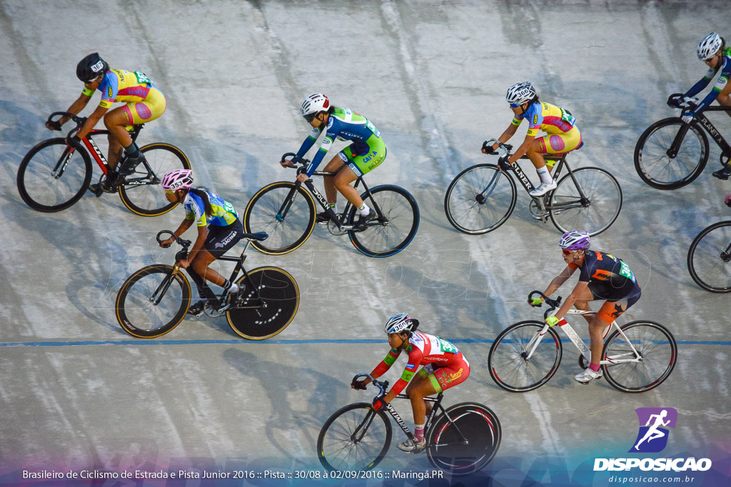 Pista :: Brasileiro de Ciclismo de Estrada e Pista 2016