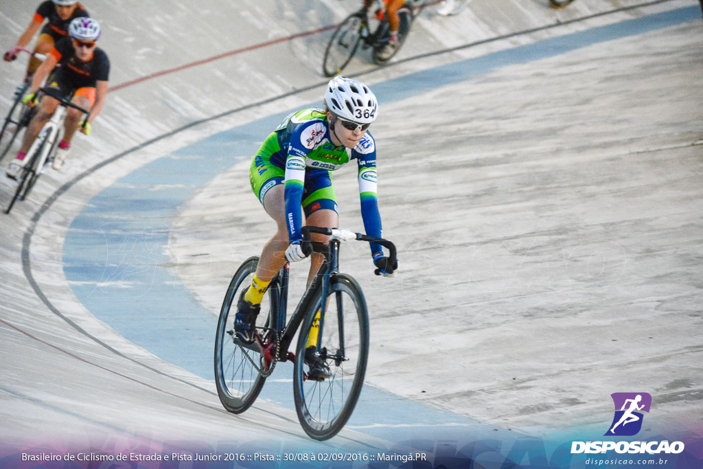 Pista :: Brasileiro de Ciclismo de Estrada e Pista 2016