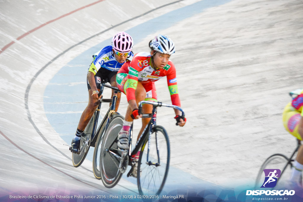 Pista :: Brasileiro de Ciclismo de Estrada e Pista 2016