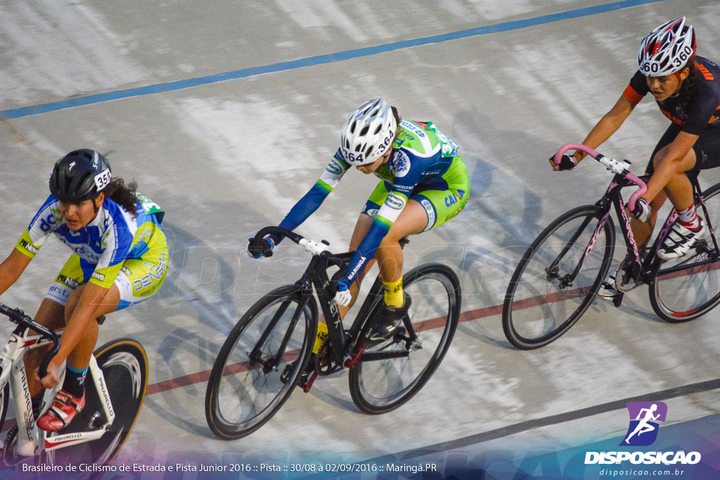 Pista :: Brasileiro de Ciclismo de Estrada e Pista 2016