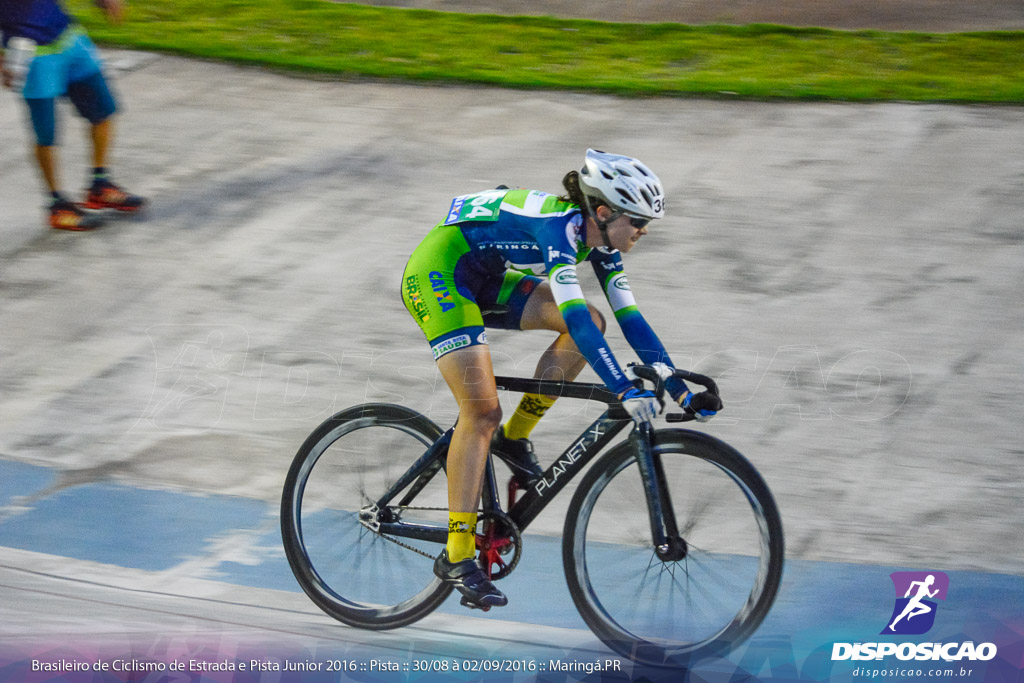 Pista :: Brasileiro de Ciclismo de Estrada e Pista 2016