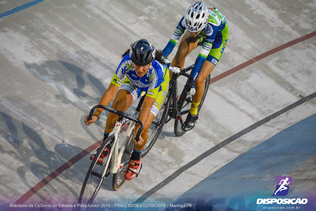 Pista :: Brasileiro de Ciclismo de Estrada e Pista 2016