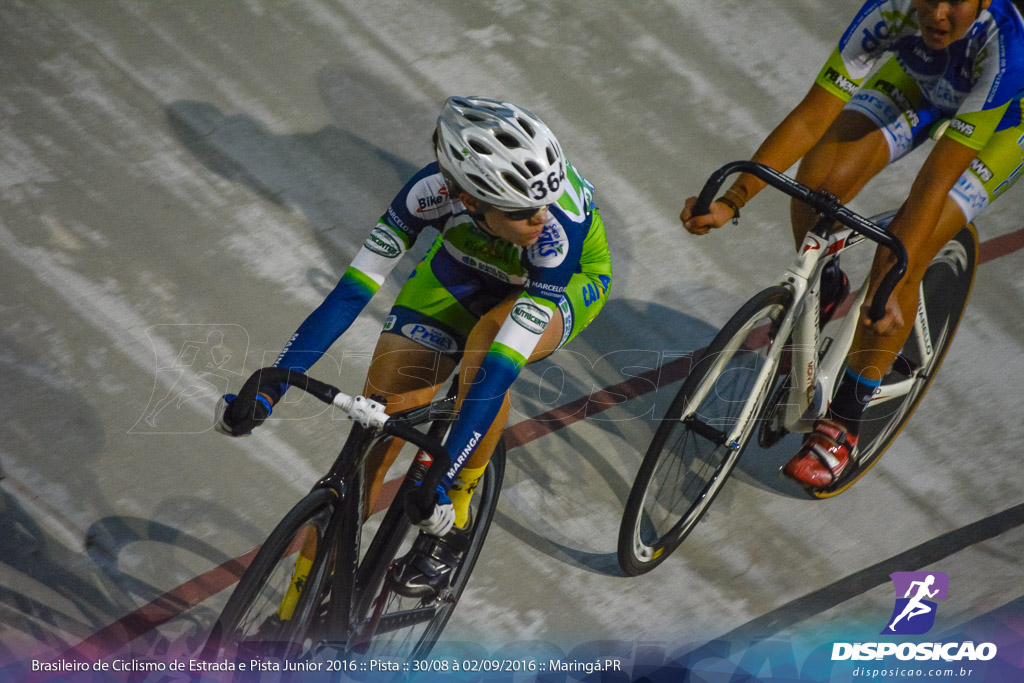 Pista :: Brasileiro de Ciclismo de Estrada e Pista 2016