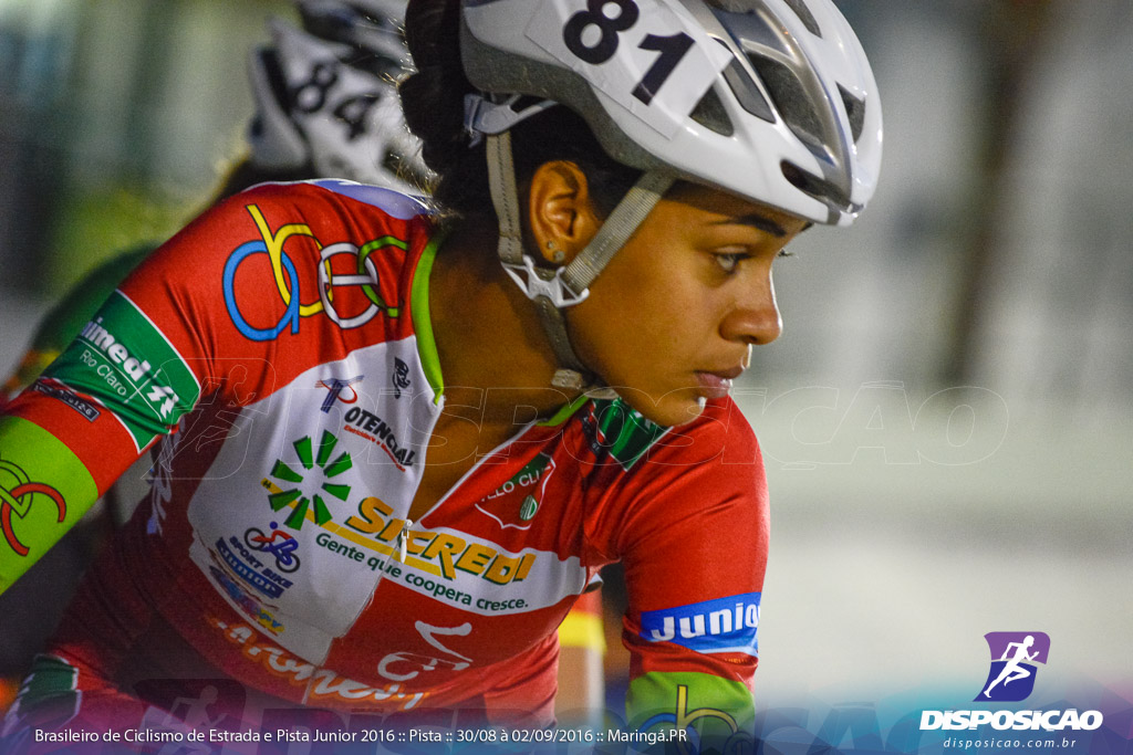 Pista :: Brasileiro de Ciclismo de Estrada e Pista 2016