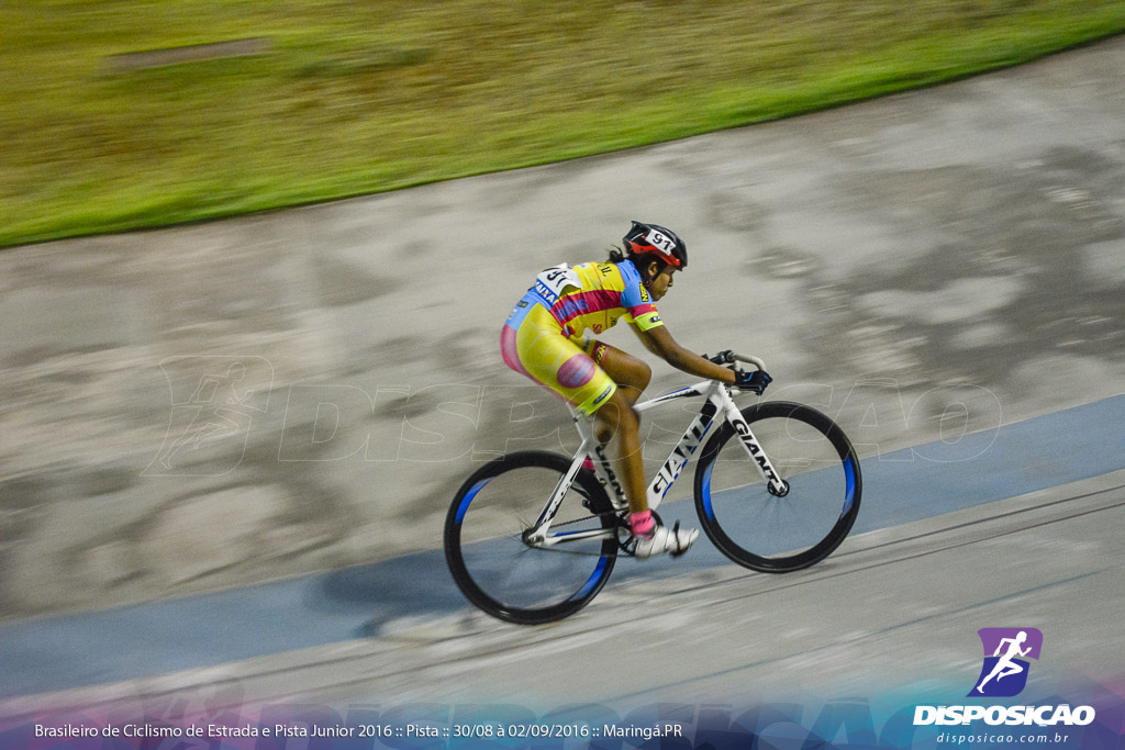 Pista :: Brasileiro de Ciclismo de Estrada e Pista 2016