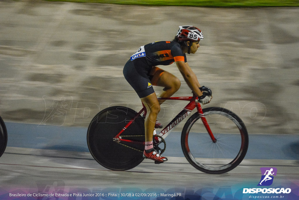 Pista :: Brasileiro de Ciclismo de Estrada e Pista 2016