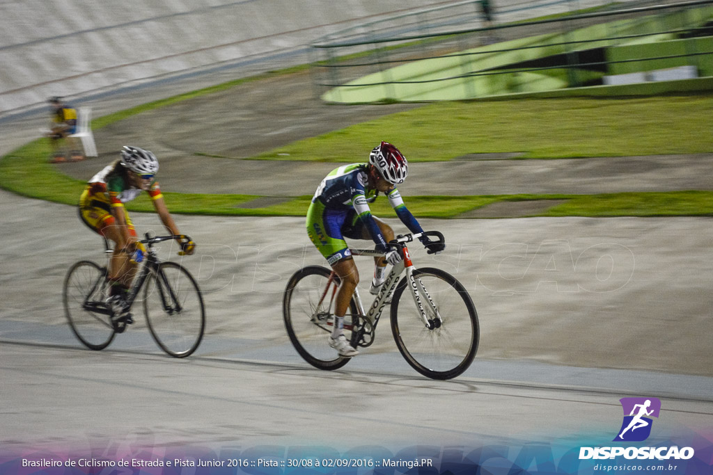 Pista :: Brasileiro de Ciclismo de Estrada e Pista 2016