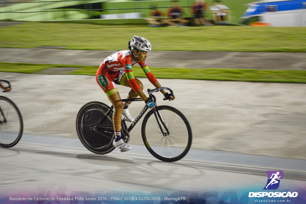 Pista :: Brasileiro de Ciclismo de Estrada e Pista 2016