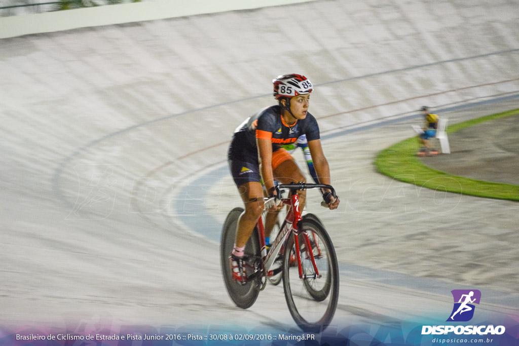 Pista :: Brasileiro de Ciclismo de Estrada e Pista 2016