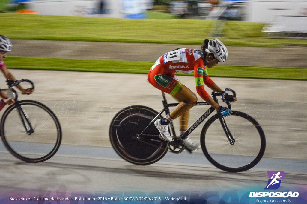 Pista :: Brasileiro de Ciclismo de Estrada e Pista 2016