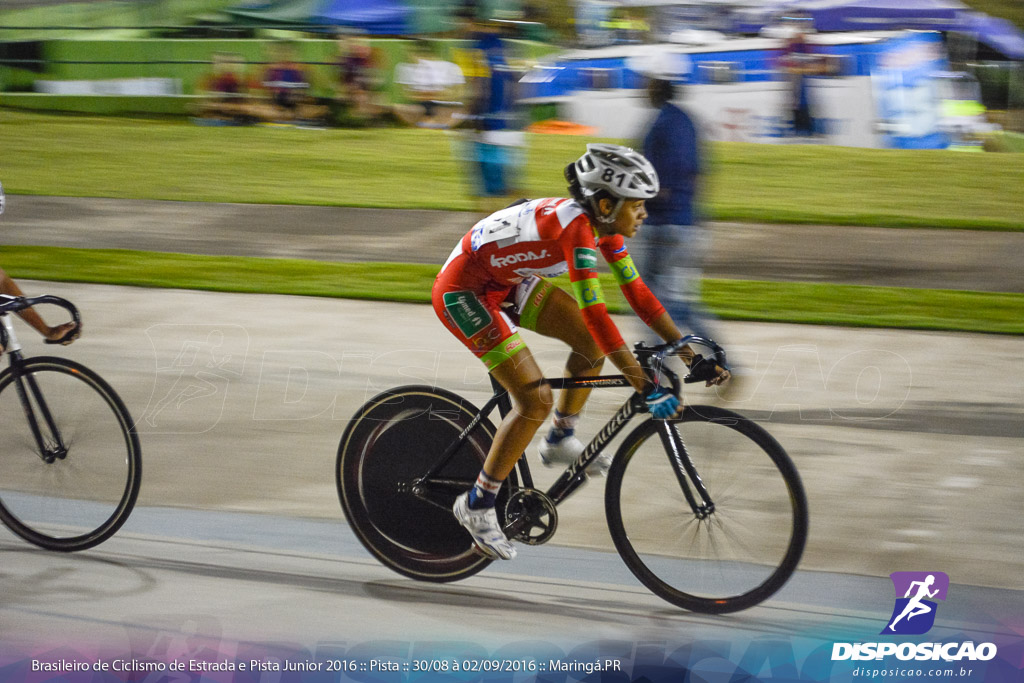 Pista :: Brasileiro de Ciclismo de Estrada e Pista 2016