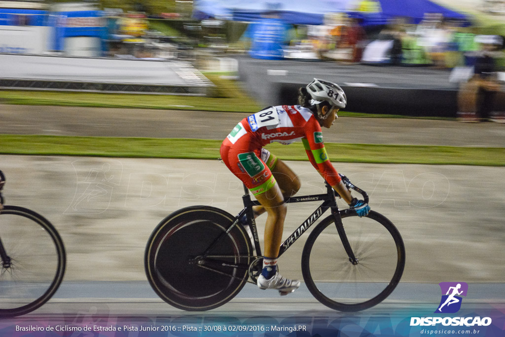 Pista :: Brasileiro de Ciclismo de Estrada e Pista 2016