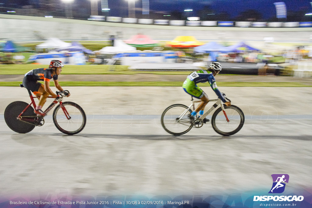 Pista :: Brasileiro de Ciclismo de Estrada e Pista 2016