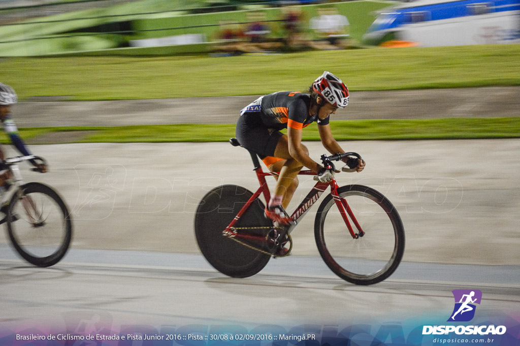 Pista :: Brasileiro de Ciclismo de Estrada e Pista 2016