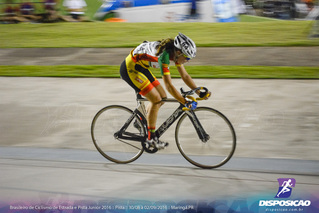 Pista :: Brasileiro de Ciclismo de Estrada e Pista 2016