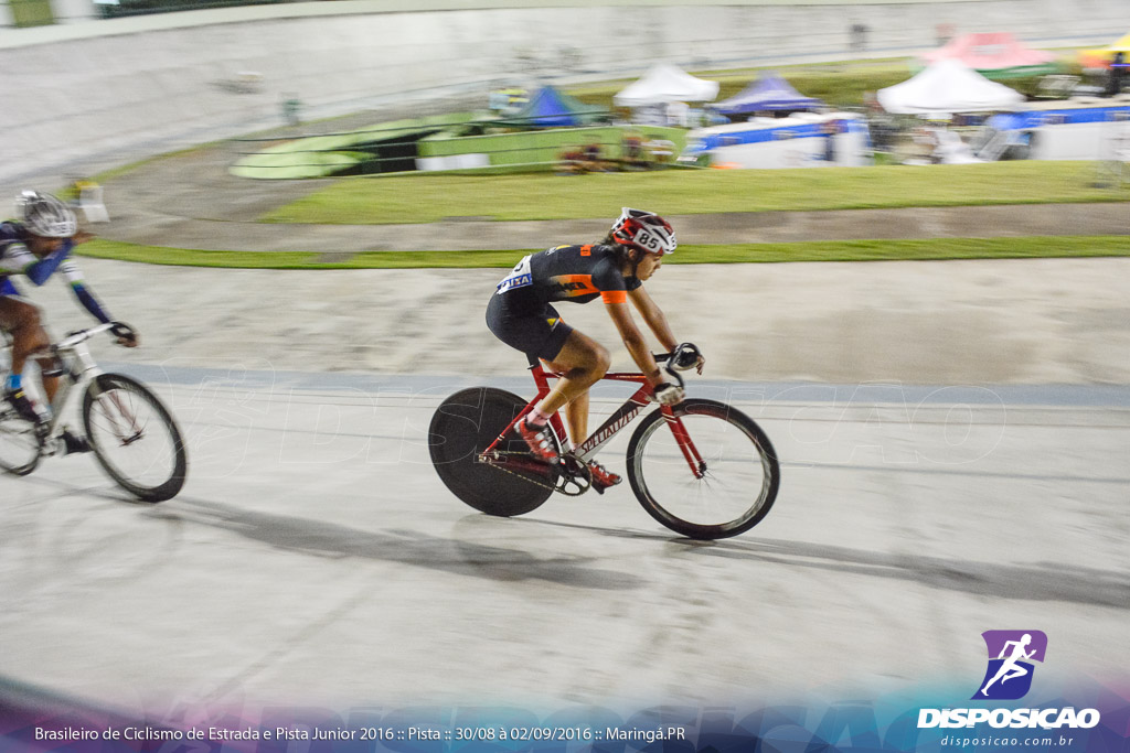 Pista :: Brasileiro de Ciclismo de Estrada e Pista 2016