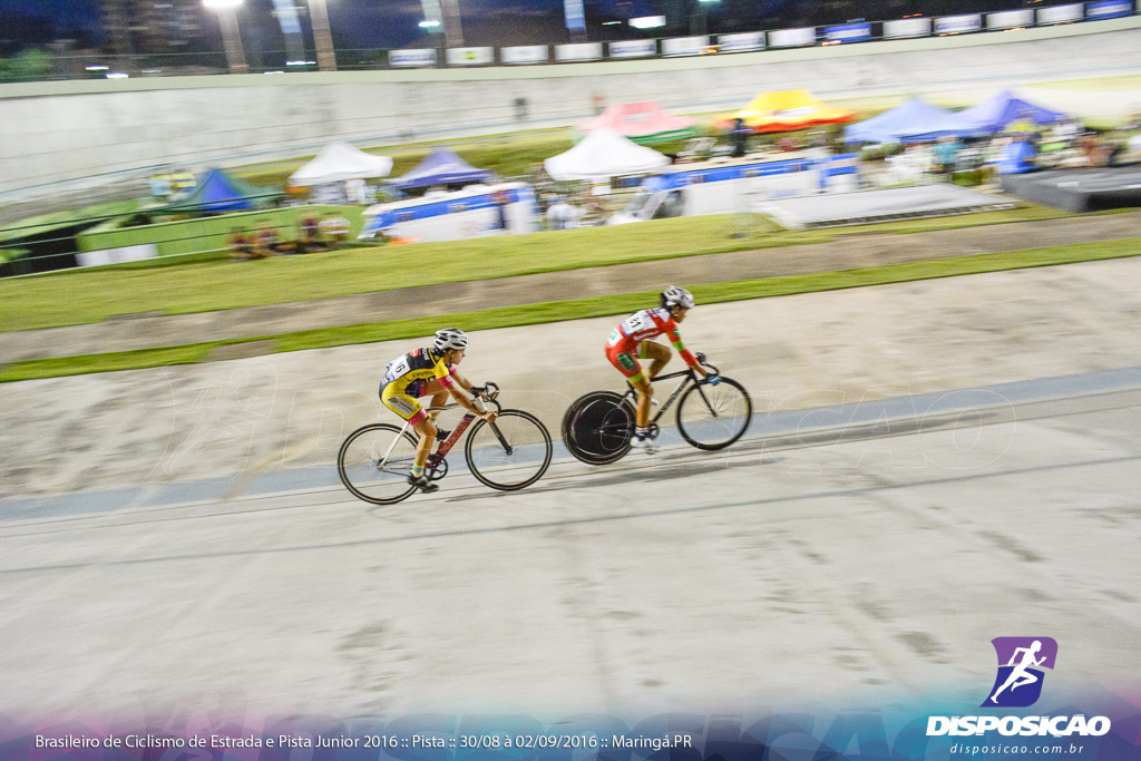 Pista :: Brasileiro de Ciclismo de Estrada e Pista 2016