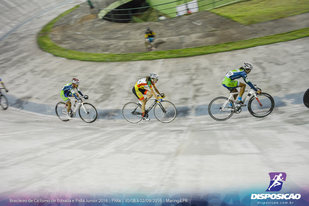 Pista :: Brasileiro de Ciclismo de Estrada e Pista 2016