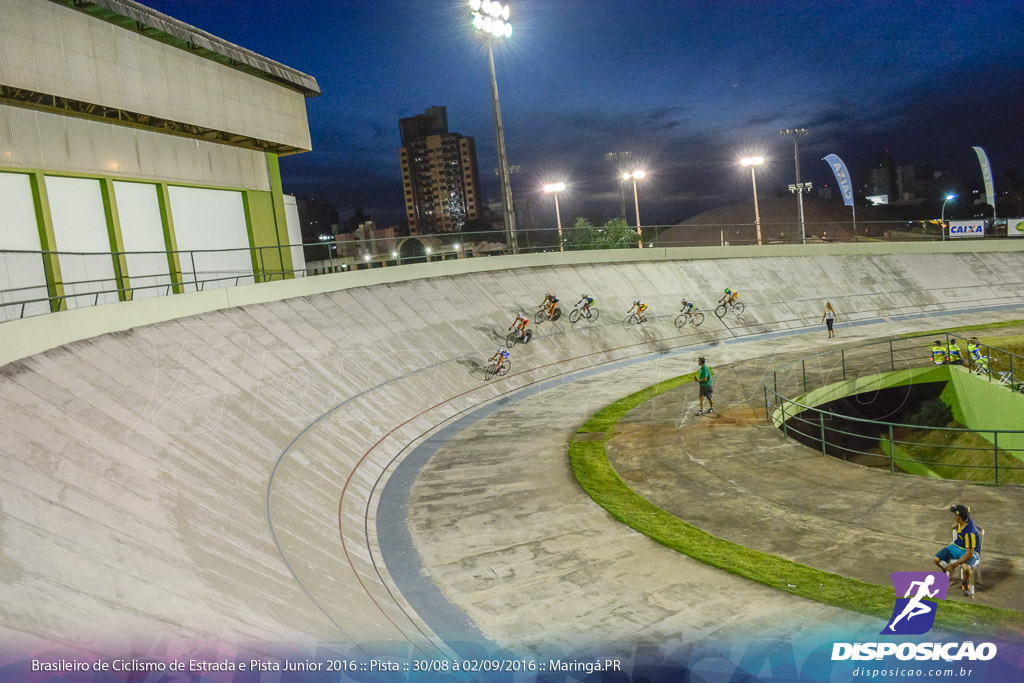 Pista :: Brasileiro de Ciclismo de Estrada e Pista 2016