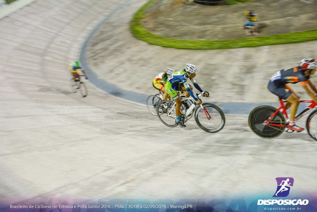 Pista :: Brasileiro de Ciclismo de Estrada e Pista 2016