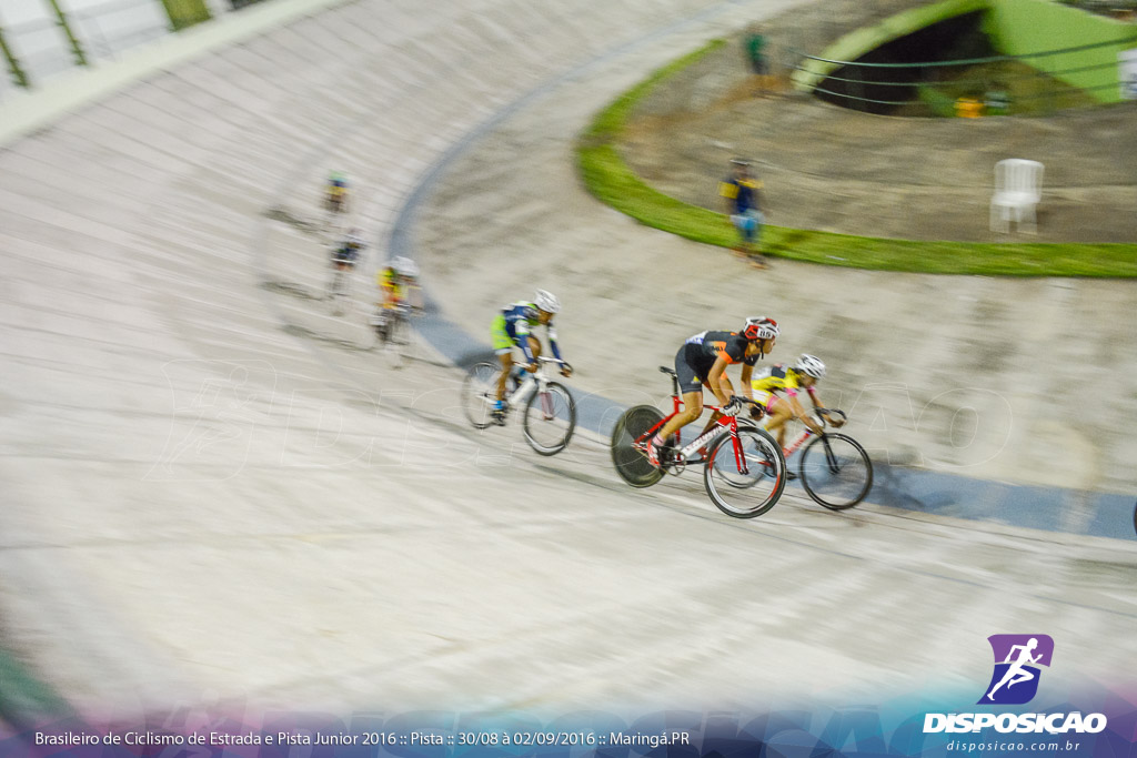 Pista :: Brasileiro de Ciclismo de Estrada e Pista 2016